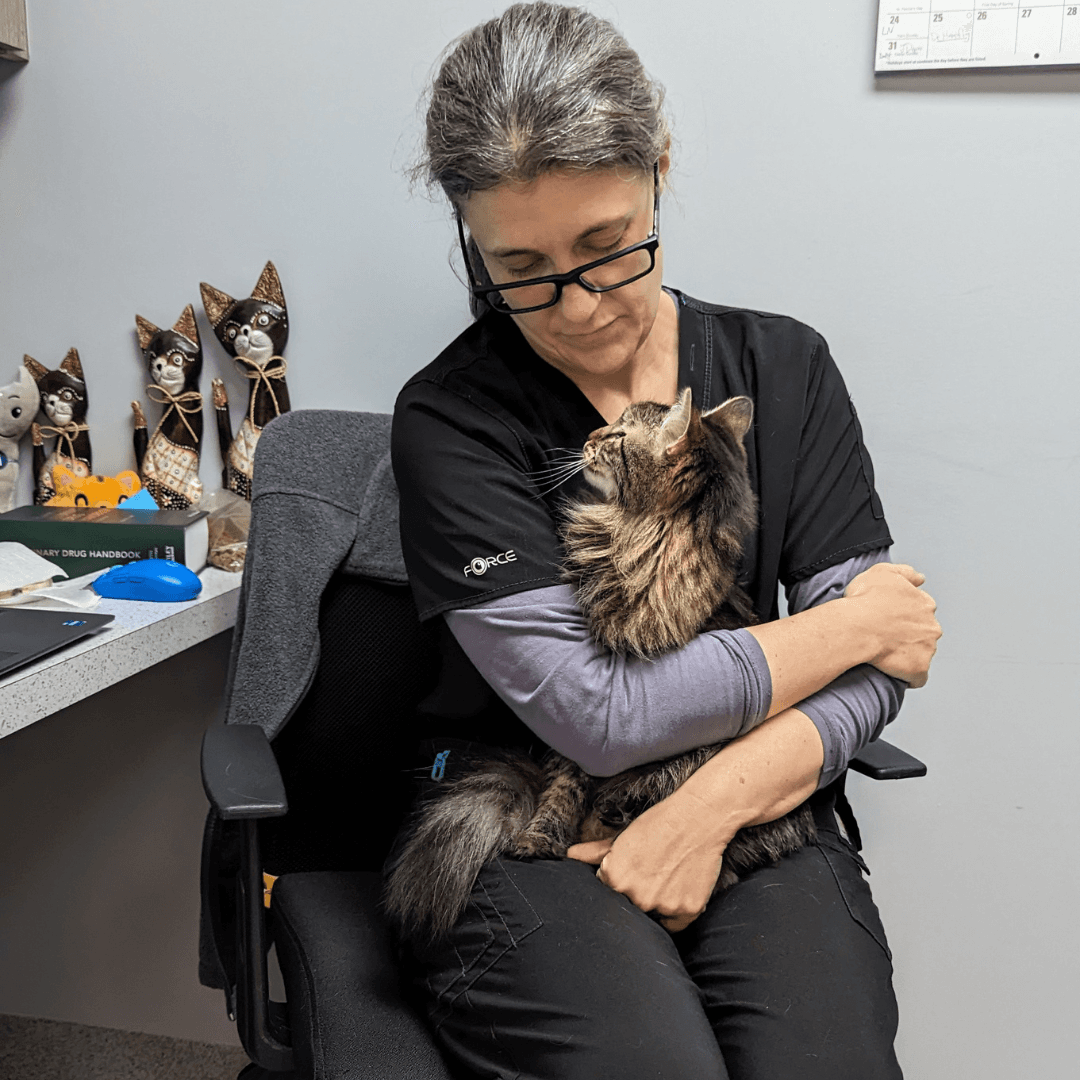 Abnormal Behavior Photo