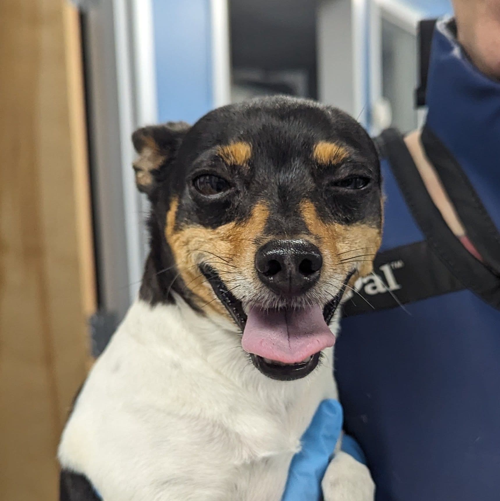 Toxin & Poison Ingestion Photo