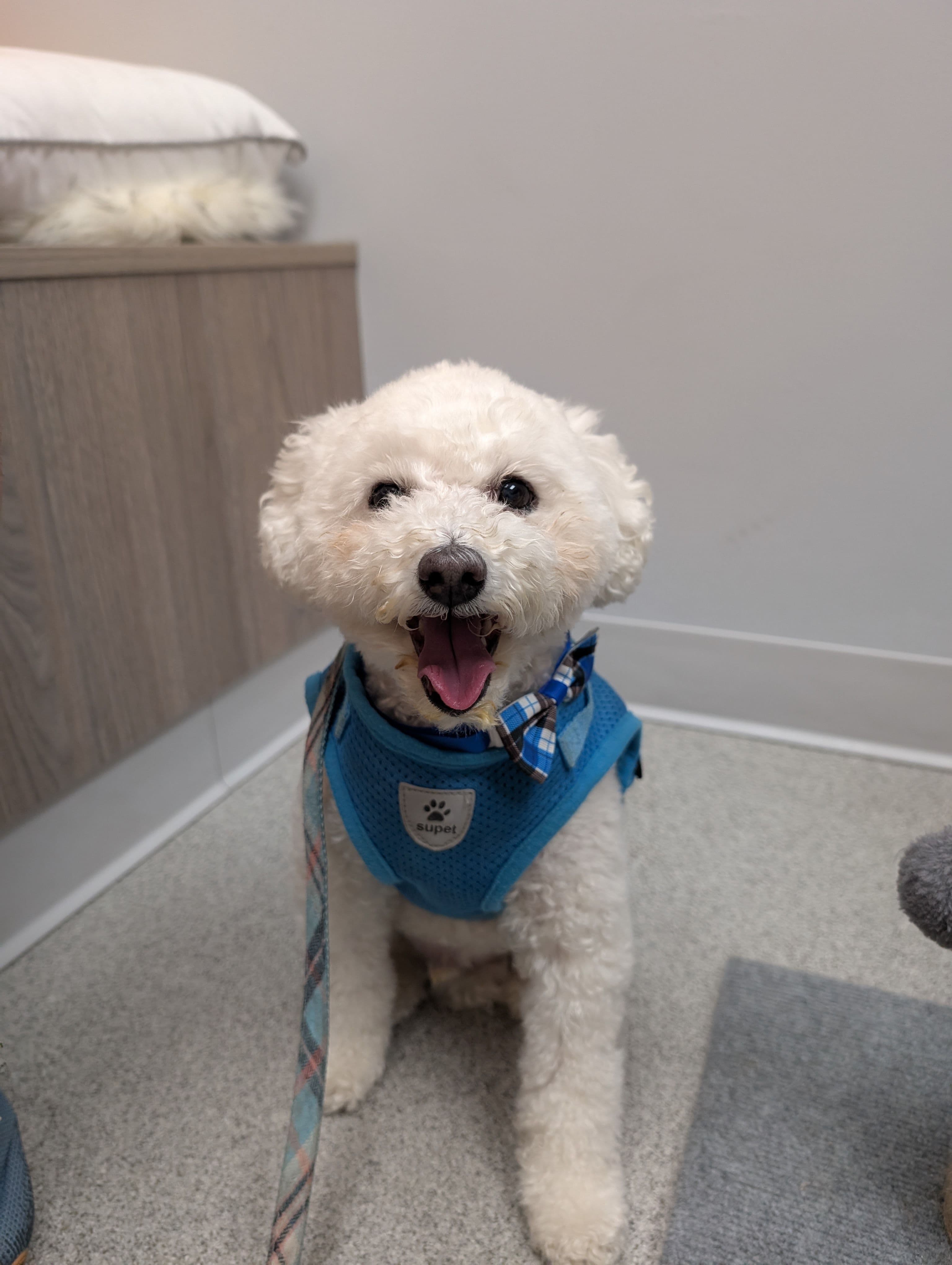 Coughing & Sneezing Photo